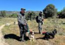 El Ejecutivo regional inicia una Campaña de vigilancia para la detección de cebos envenenados en el medio natural y en terrenos cinegéticos
