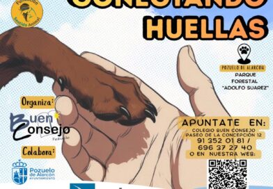 Carrera solidaria contra el maltrato animal en Pozuelo de Alarcón