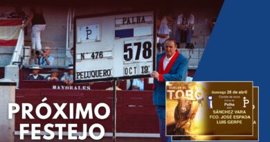 Regresa el hierro de Palha a las Ventas