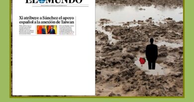 El «arte» de meterse en un charco