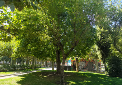 Guadarrama  abre plazo de licitación para la renovación de los elementos en parques infantiles