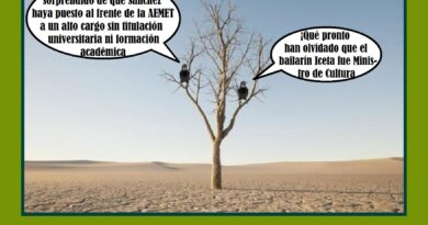 La política puede encumbrar a cualquiera