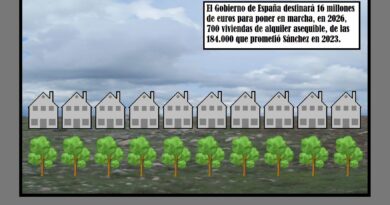 Menos da un… ladrillo