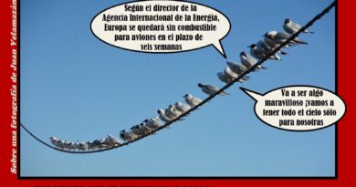 Por mucho que se tuerzan las cosas, siempre hay alguien que sale ganando