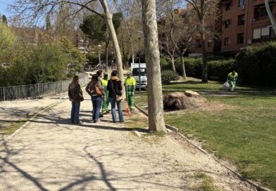 Las Rozas  acomete un plan de mejora en el Parque París y planea su reforma integral