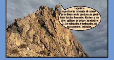 «Socialismo fashion»