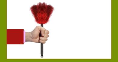 «Somos un partido limpio»