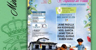 Semifinalistas XII Certamen Alfarero de Plata de Villaseca de la Sagra