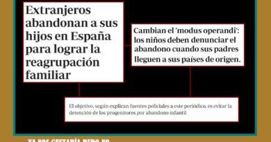 Ya nos gustaría pero no, no somos la ONG que algunos pretenden