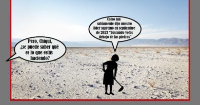 Chus metida en faena