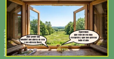 Día Mundial de la Abeja