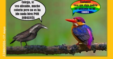 Irrelevancia