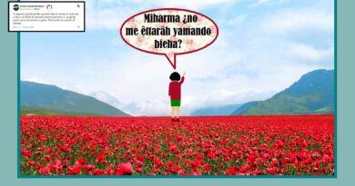 Renovarse o morir