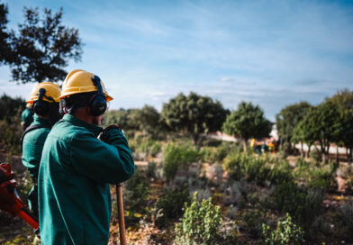 La Comunidad de Madrid actúa  terreno forestal para reforzar la prevención de incendios