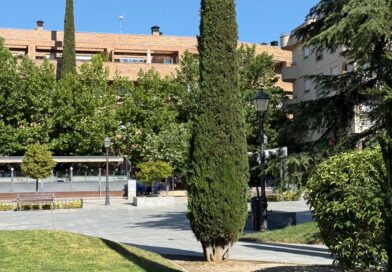 Majadahonda invertirá un 40% más en el mantenimiento y conservación de sus parques y jardines en los próximos 4 años Majadahonda invertirá un 40% más en el mantenimiento y conservación de sus parques y jardines en los próximos 4 años