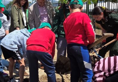  El Colegio Jacinto  Benavente de Galapagar planta  la semilla  “El Bosque Jacinto”