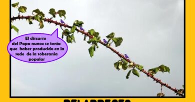 Belarreces