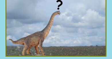 Cuando despertó el dinosaurio el CIS seguía dando como ganador al PSOE