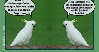 Cuando preguntas a la gente pasan estas cosas