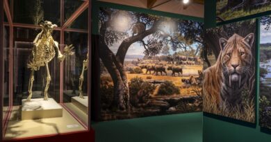 La Comunidad de Madrid presenta este fin de semana una amplia  agenda cultural