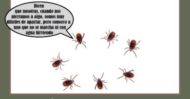 El espíritu de la garrapata