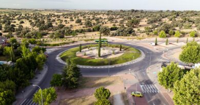 Finaliza la renovación paisajística de la glorieta entre Condesa de Chinchón y Pedro de Valdivia Finaliza la renovación paisajística de la glorieta entre Condesa de Chinchón y Pedro de Valdivia