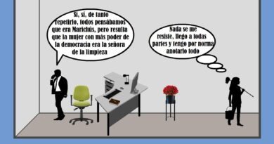 La limpiadora