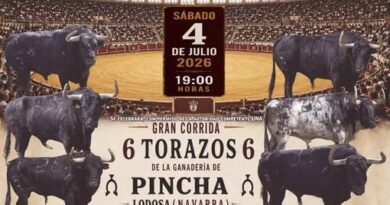 Toros en Moralzarzal el 4 de julio