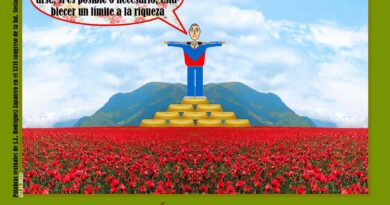 Tonterías, las justas