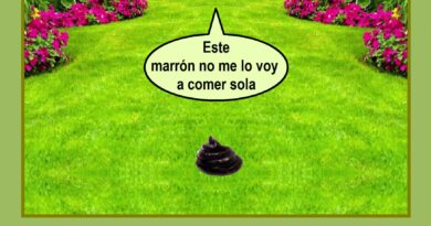 Una «mierda» a compartir