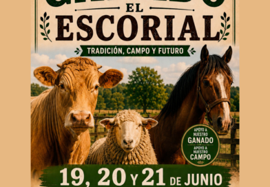 El Escorial celebra la VII Feria del Ganado, una cita con la tradición, el campo y el futuro