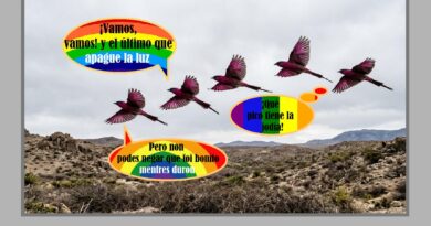 Desbandada magenta