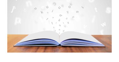  Nueva edición de la Feria del Libro Antiguo y de Ocasión en Guadarrama