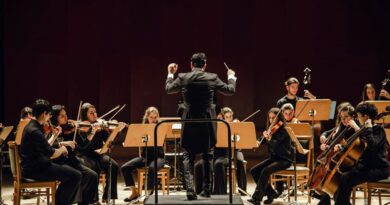 ‘Veranísimos’ Las Rozas ofrece circo, cine y música para las noches del fin de semana ‘Veranísimos’ Las Rozas ofrece circo, cine y música para las noches del fin de semana