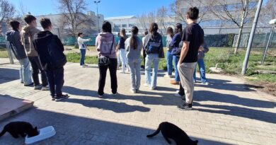 Las Rozas contó con más de 5.300 jóvenes en las diferentes propuestas del área de Juventud Las Rozas contó con más de 5.300 jóvenes en las diferentes propuestas del área de Juventud