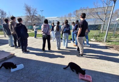 Las Rozas contó con más de 5.300 jóvenes en las diferentes propuestas del área de Juventud Las Rozas contó con más de 5.300 jóvenes en las diferentes propuestas del área de Juventud