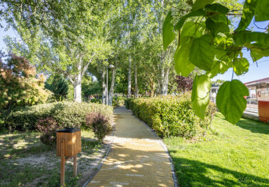 Boadilla reforzó sus zonas verdes en 2025 con 1360 nuevos árboles, más de 6700 arbustos y 42.000 flores Boadilla reforzó sus zonas verdes en 2025 con 1360 nuevos árboles, más de 6700 arbustos y 42.000 flores