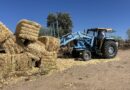 La Comunidad de Madrid entrega cerca de medio millón de kilos de forraje a las ganaderías afectadas por los incendios de la Sierra Oeste La Comunidad de Madrid entrega cerca de medio millón de kilos de forraje a las ganaderías afectadas por los incendios de la Sierra Oeste