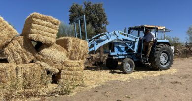 La Comunidad de Madrid entrega cerca de medio millón de kilos de forraje a las ganaderías afectadas por los incendios de la Sierra Oeste La Comunidad de Madrid entrega cerca de medio millón de kilos de forraje a las ganaderías afectadas por los incendios de la Sierra Oeste