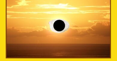 Eclipse, tomas falsas