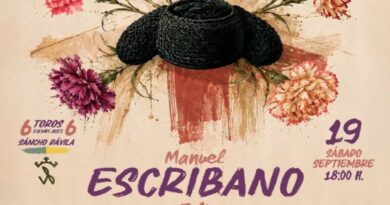 Toros en Majadahonda
