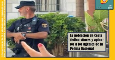 ¡Qué buen vasallo si oviesse buen señor!