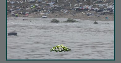 ¿Quién responde por los que no llegaron a tierra firme?