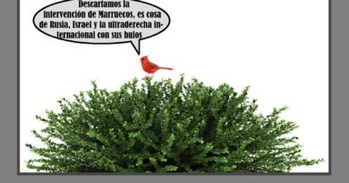 ¿Serán los efectos del calentamiento global?