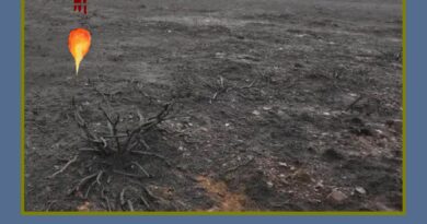 Y entonces el fuego se detuvo porque no había nada más que quemar