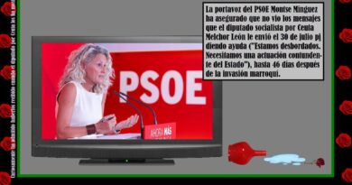 Así nos luce el pelo