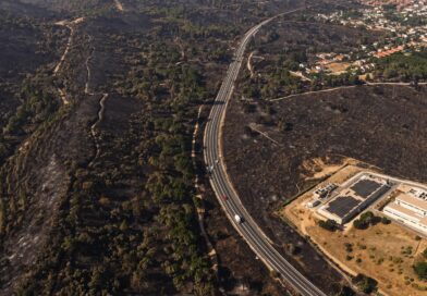 La Comunidad de Madrid invierte en la recuperación de los montes y la protección de la fauna silvestre tras el incendio de la Sierra Oeste La Comunidad de Madrid invierte en la recuperación de los montes y la protección de la fauna silvestre tras el incendio de la Sierra Oeste