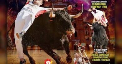 Gran Final campeonato de España de Recortadores