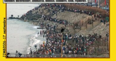 La Eurocámara también llama invasión a la multitud que entró en Ceuta