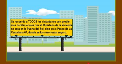 Puntualización